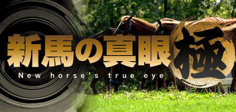 新馬の真眼“極”