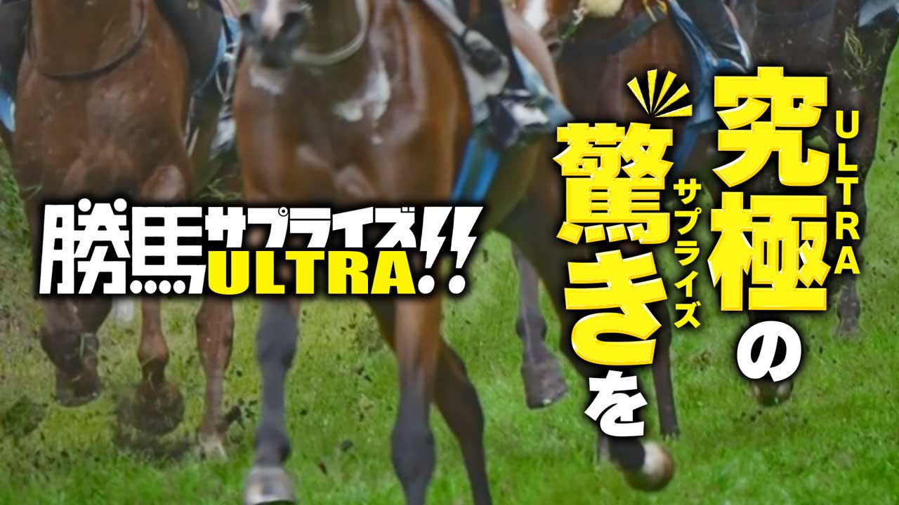 勝馬サプライズウルトラの競馬予想サイトは当たらない？口コミ評判検証！